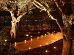 Architecte Saint Tropez